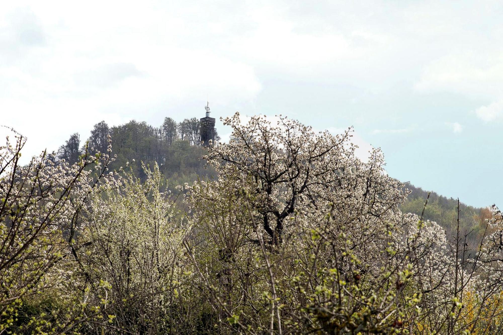 Ferienhaus "Am Staufenberg" Blankenburg  Luaran gambar