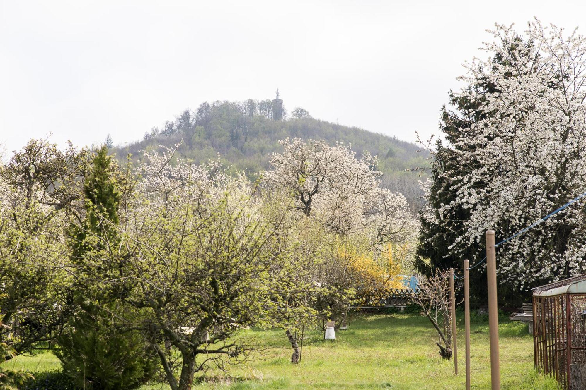 Ferienhaus "Am Staufenberg" Blankenburg  Luaran gambar